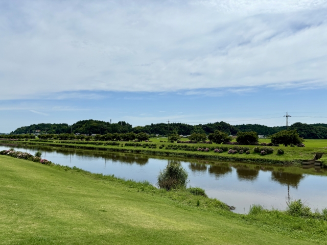 千葉-多古町に流れる栗山川の写真