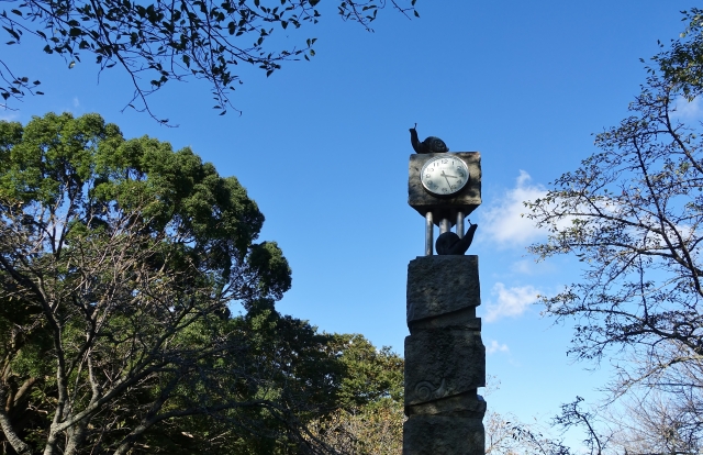 千葉県山武郡芝山町にある芝山公園の写真