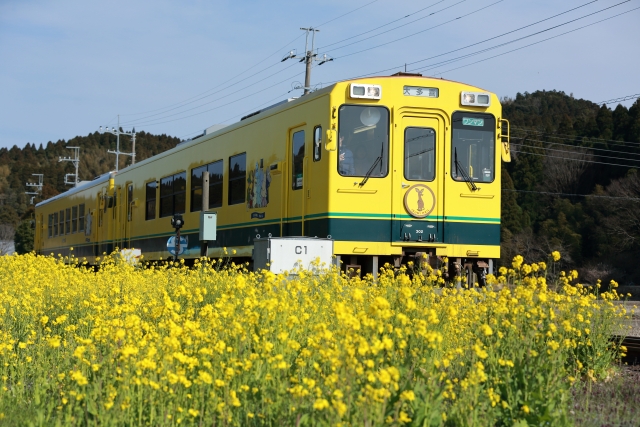 千葉県いすみ市を走るいすみ鉄道の写真