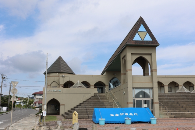 千葉県夷隅郡御宿町にある月の砂漠記念館の写真